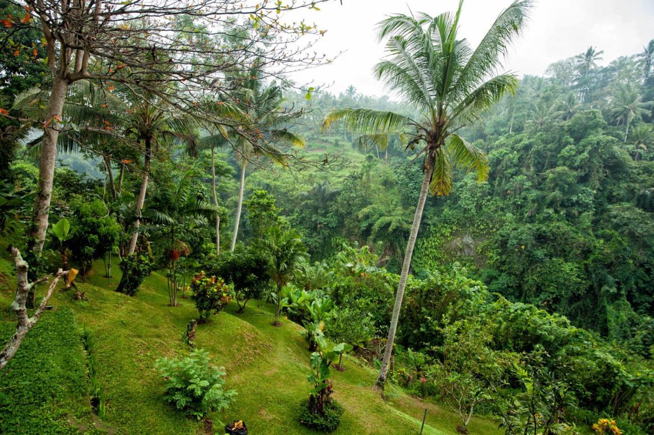 Beji Ubud Resort Екстериор снимка